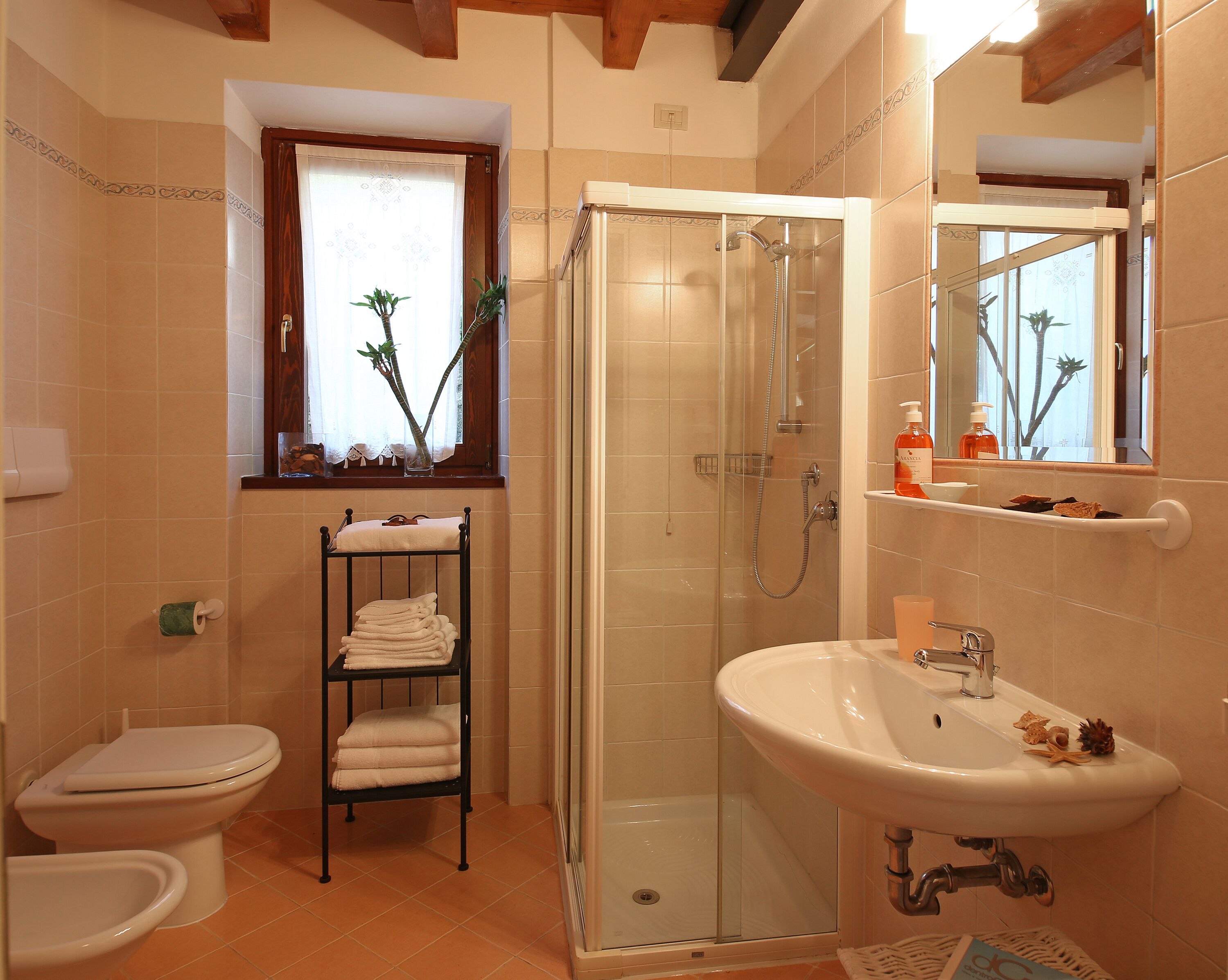 Beautiful apartments in a lemon garden with a lake view