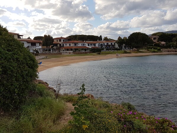 A lakeside view with houses, a sandy beach, and a grassy area with flowers.