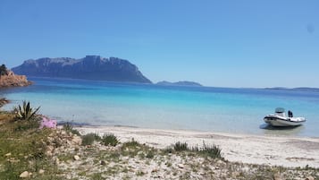 En la playa y camastros