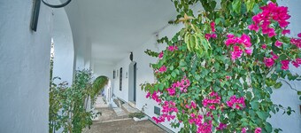 Ferienhaus Villa Irene für 16 personen
