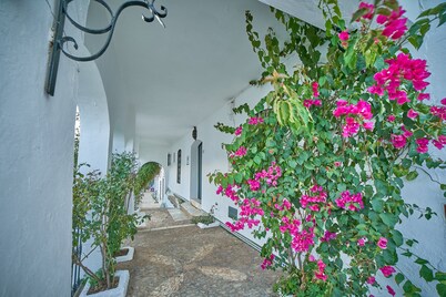 Villa Irene: large rural house for large groups (16 people)