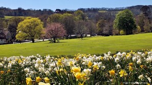 المنطقة المحيطة بالمنشأة