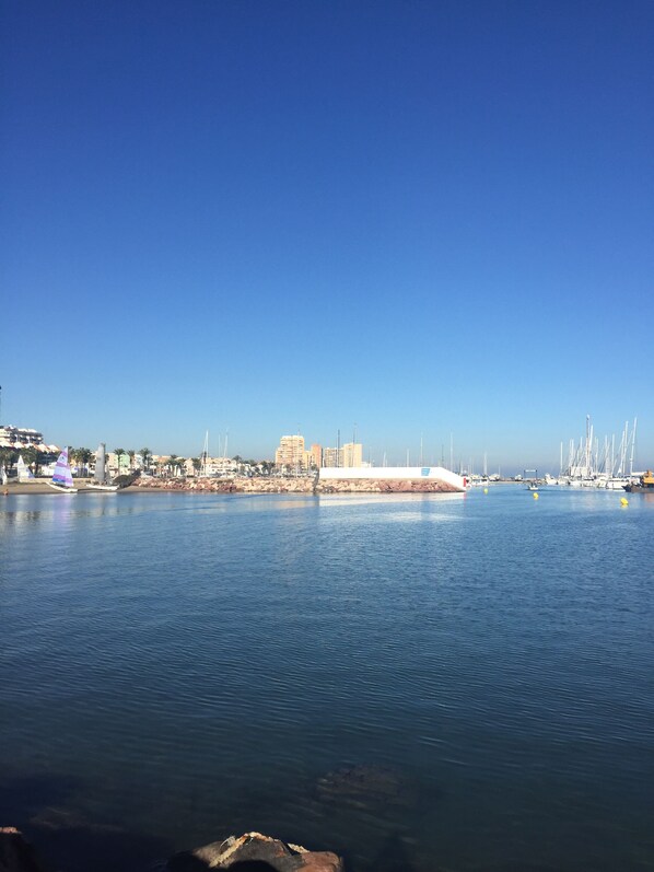 Un puerto deportivo con barcos, un edificio grande y un cielo azul despejado.