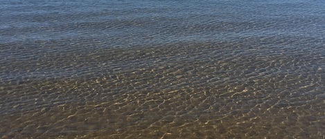 Beach nearby, sun-loungers