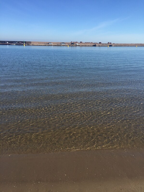 Playa en los alrededores y camastros 