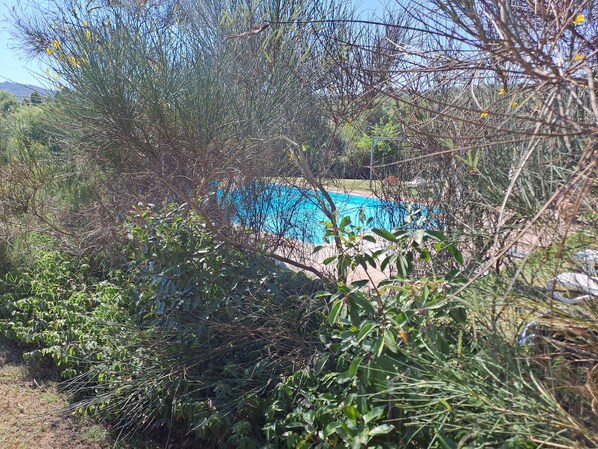 Udendørs pool