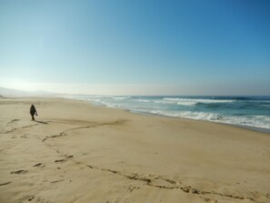 Playa en los alrededores 