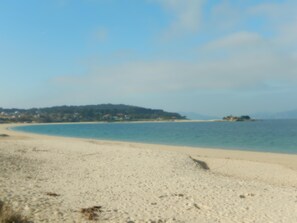 A beach with a sandy shore and a calm sea.