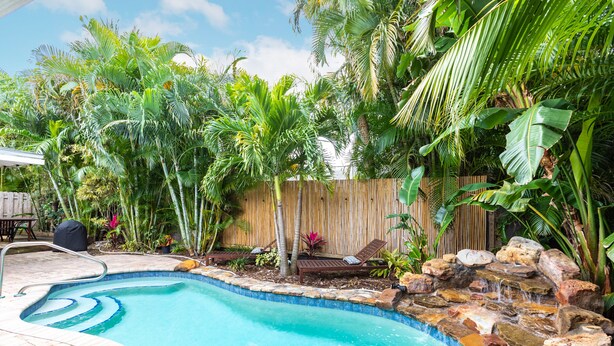 A swimming pool with a stone edge, surrounded by tropical plants and a wooden fence.
