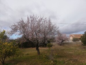 Overnattingsstedets uteområder