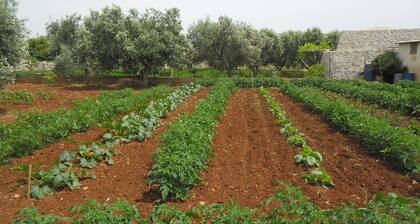 VILLA GELSOMINO IMMERGĂE DANS LA NATURE SALENTO S. M.DI LEUCA