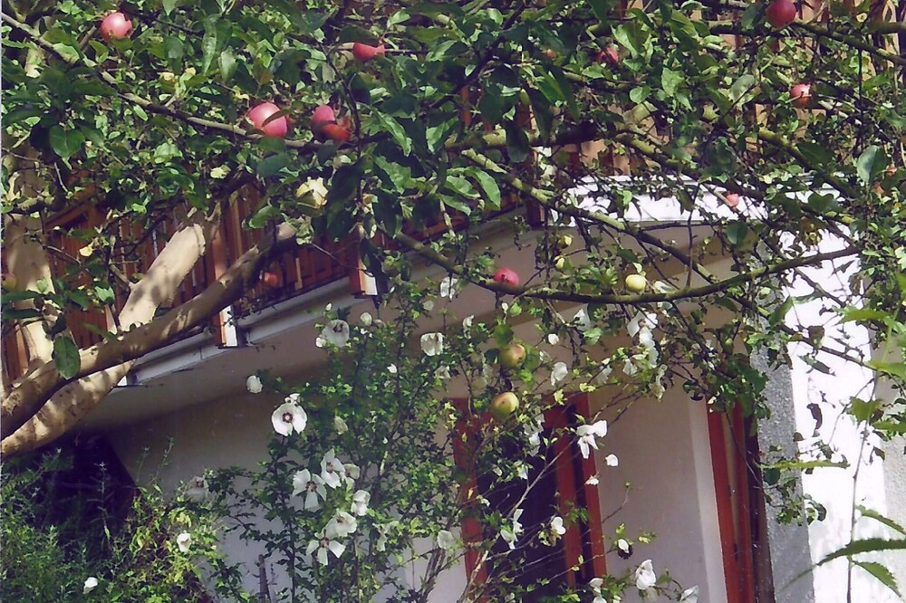 Apartment in a green idyll on the edge of Chemnitz