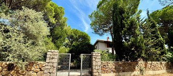 Beautiful villa in a pine-wood 150 m from a white sandy beach