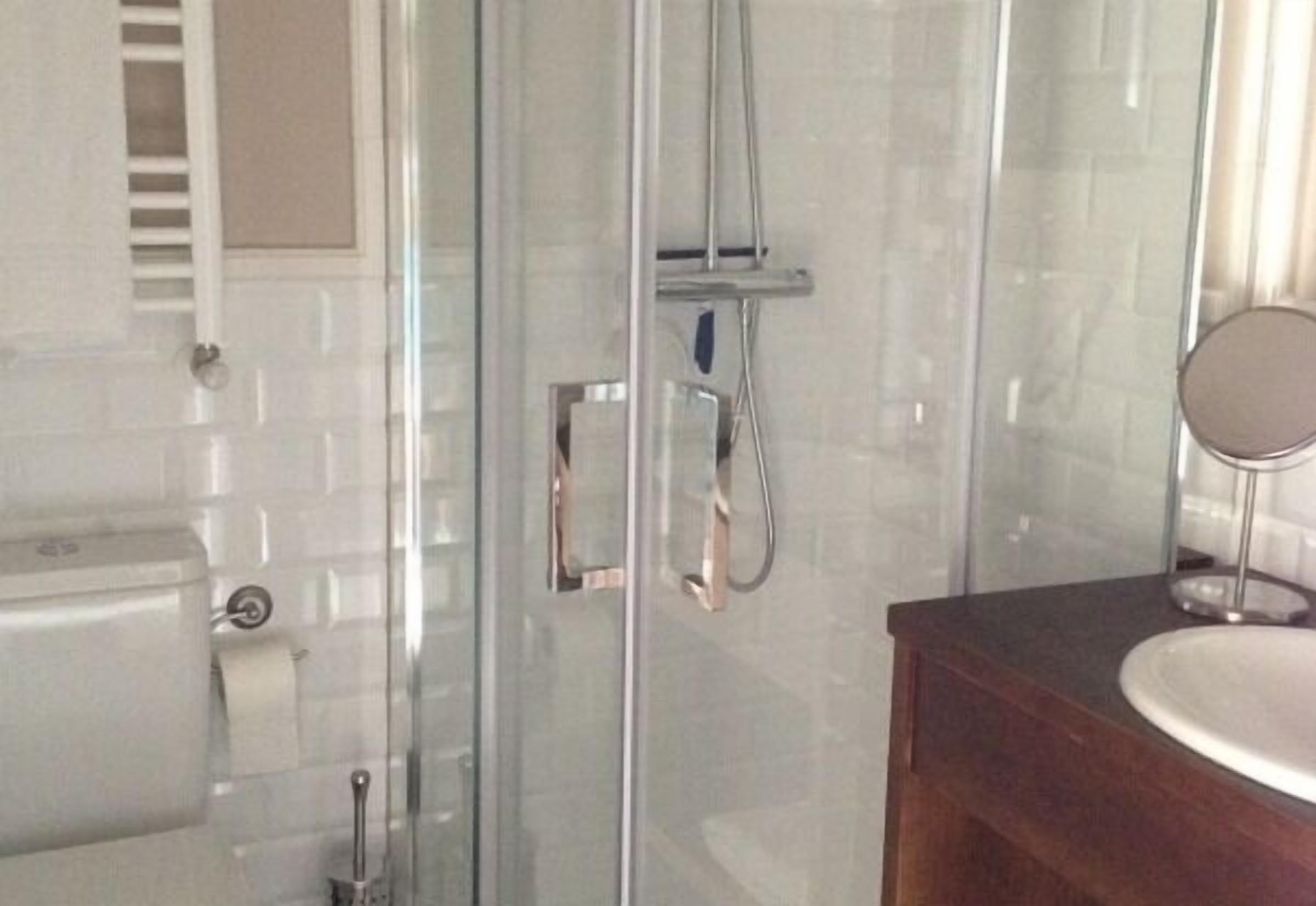 A glass-enclosed shower with a handheld showerhead, a toilet, and a sink with a mirror.