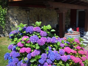 المنطقة المحيطة بالمنشأة