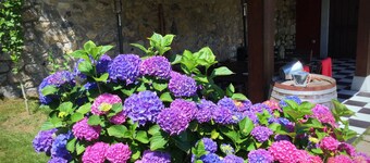 Rural apartment El Hospital de Villahormes for 4 people