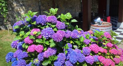 HORTENSIA. Appartement rural L'hĂŽpital des Villahormes