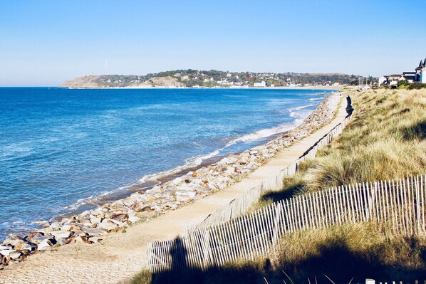 Plage, chaises longues