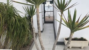A pathway leading to a gate, flanked by tall, narrow-leafed plants and a white wall. - Fabulous Detached Villa in Premier Location, Full Air Con, Heated Pool, Wi-Fi + (Puerto del Carmen)