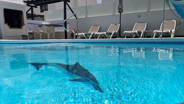 A swimming pool with clear blue water, a dolphin, and lounge chairs along the edge. - Fabulous Detached Villa in Premier Location, Full Air Con, Heated Pool, Wi-Fi + (Puerto del Carmen)
