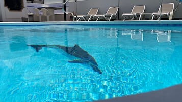 Beheizter Pool