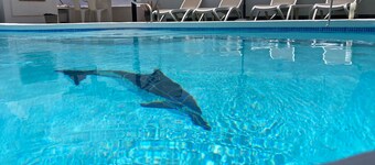 Fabulous Detached Villa in Premier Location, Full Air Con, Heated Pool, Wi-Fi +