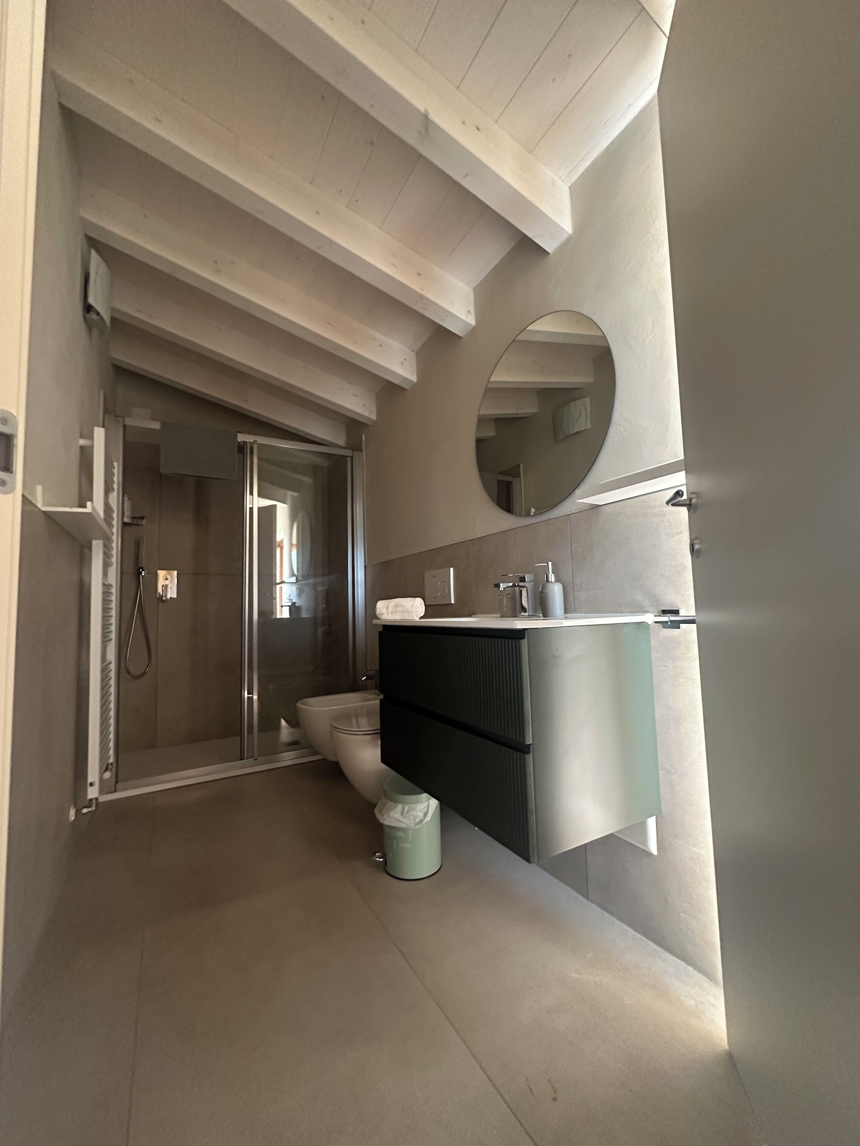 Shower, hair dryer, bidet, towels