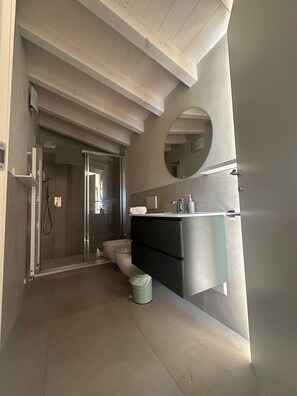 Regadera, secadora de cabello, bidet, toallas 