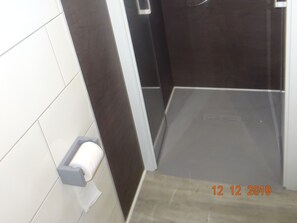 Regadera, secadora de cabello, papel de baño 