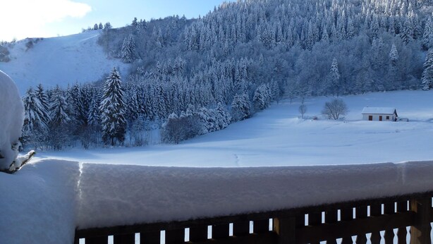 A snow-covered landscape with a wooden fence in the foreground, a small building in the middle ground, and a forested hill in the background. - chalet - 4 rooms - 6 persons (La Bresse)