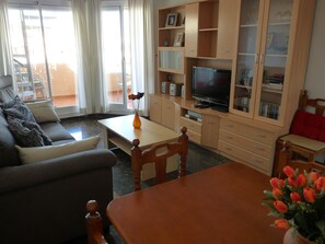 Smart-TV, DVD-Player, Bücher, Videothek