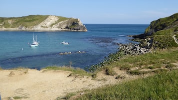 Plage à proximité, chaises longues, serviettes de plage