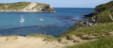 بالقرب من الشاطئ، كراسي للتشمس، مناشف للشاطئ