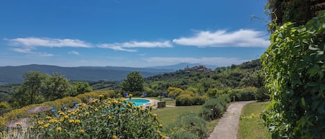 Un área de piscina con sillones de descanso, rodeada de follaje y vistas despejadas a colinas distantes.