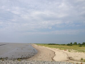 Ligstoelen aan het strand
