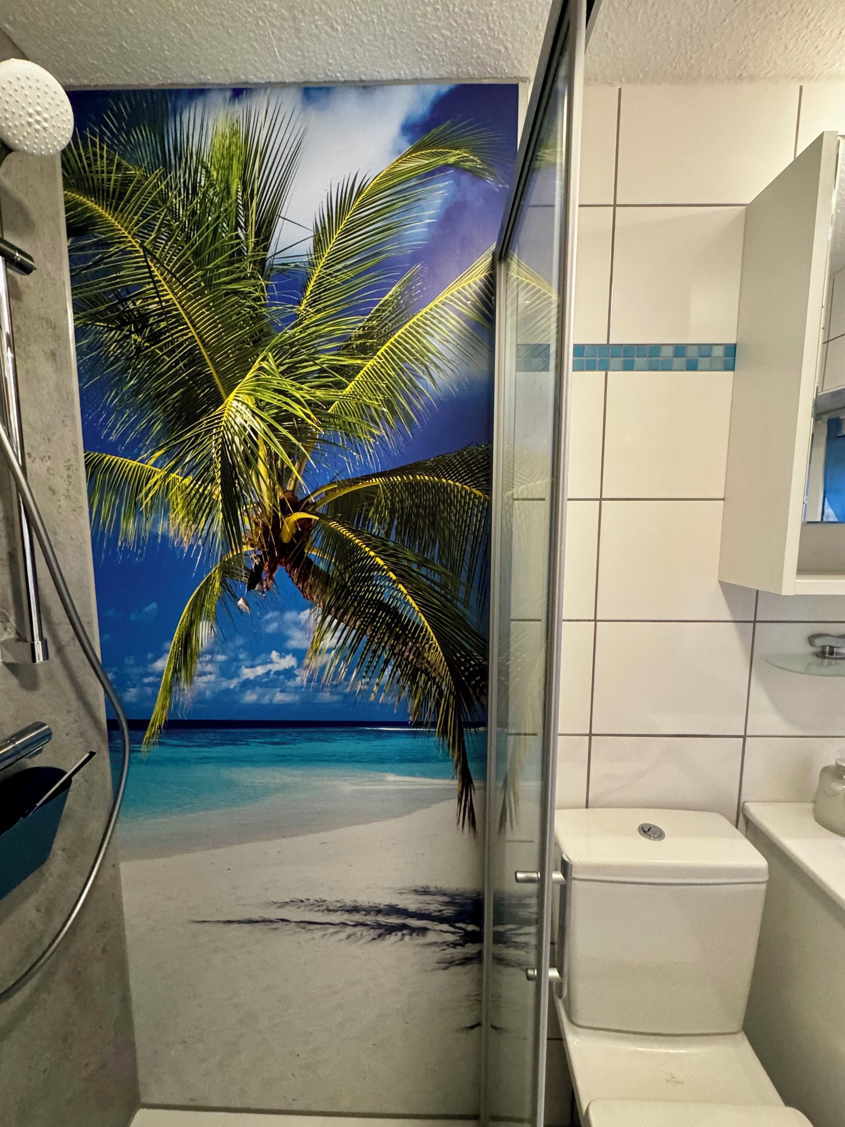 Shower, hair dryer, toilet paper