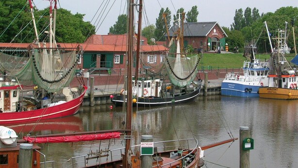 A harbor with several fishing boats docked, a red building with a green window, and a grassy area in the background. - Holiday homes and Apartments in the heart of Greetsiel, modern, comfortable + cozy, Internet (Greetsiel)