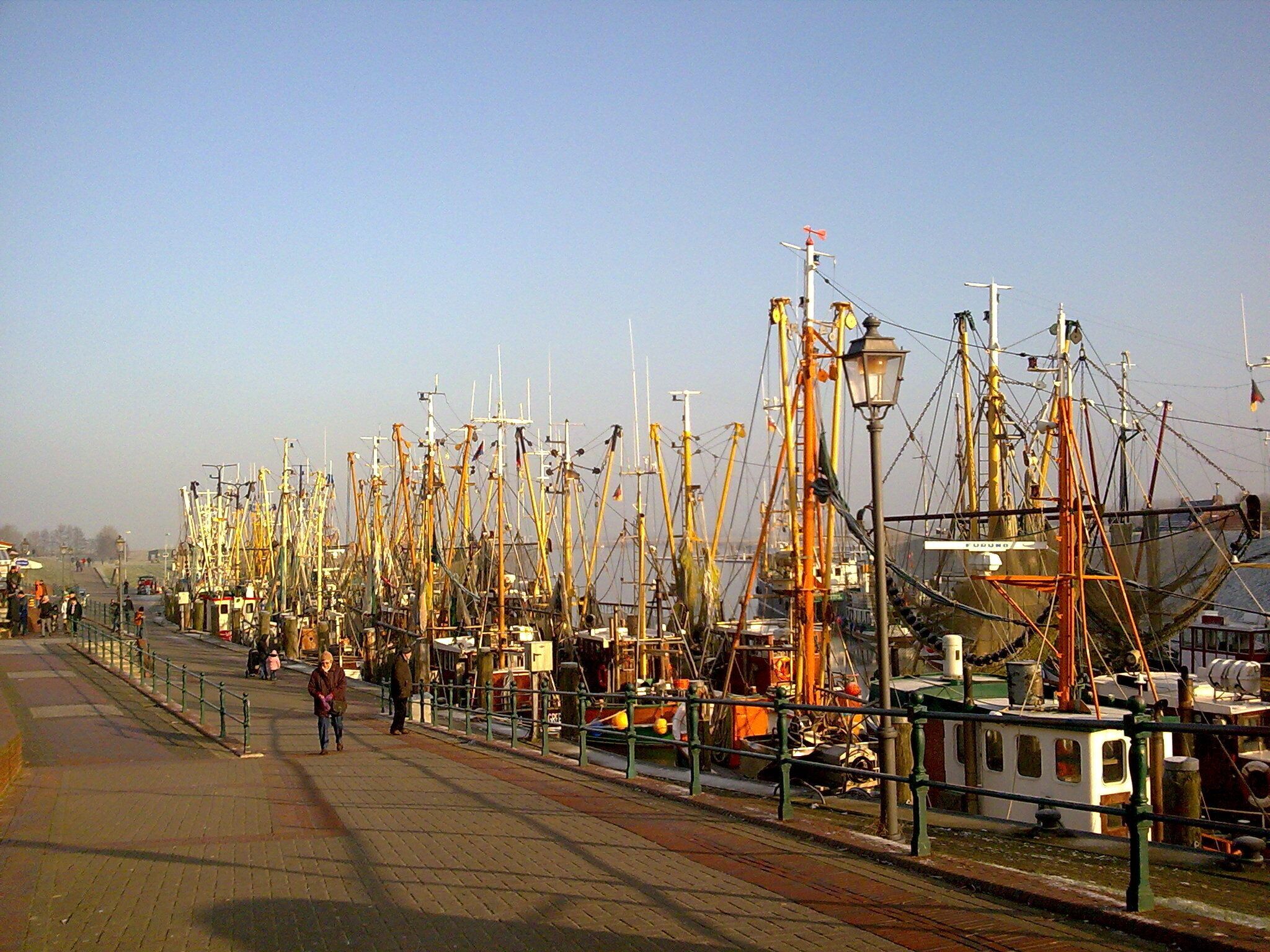En havnepromenade med række af både fortøjet langs kysten.