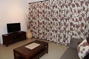 Smart TV, DVD player, books, video library