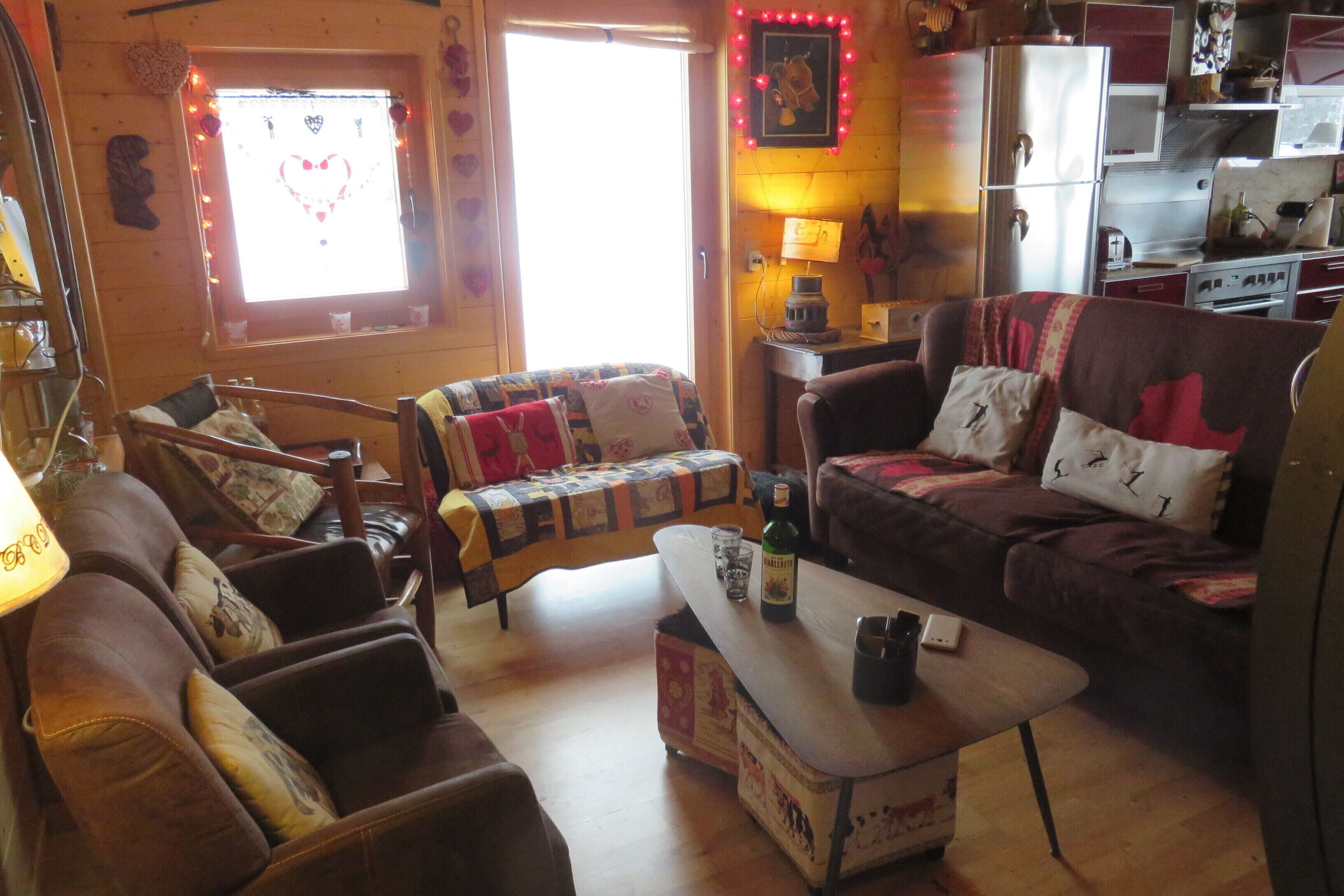 电视、壁炉、DVD 播放器、书