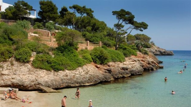 Une plage côtière avec une eau claire, un terrain rocheux et une végétation luxuriante.
