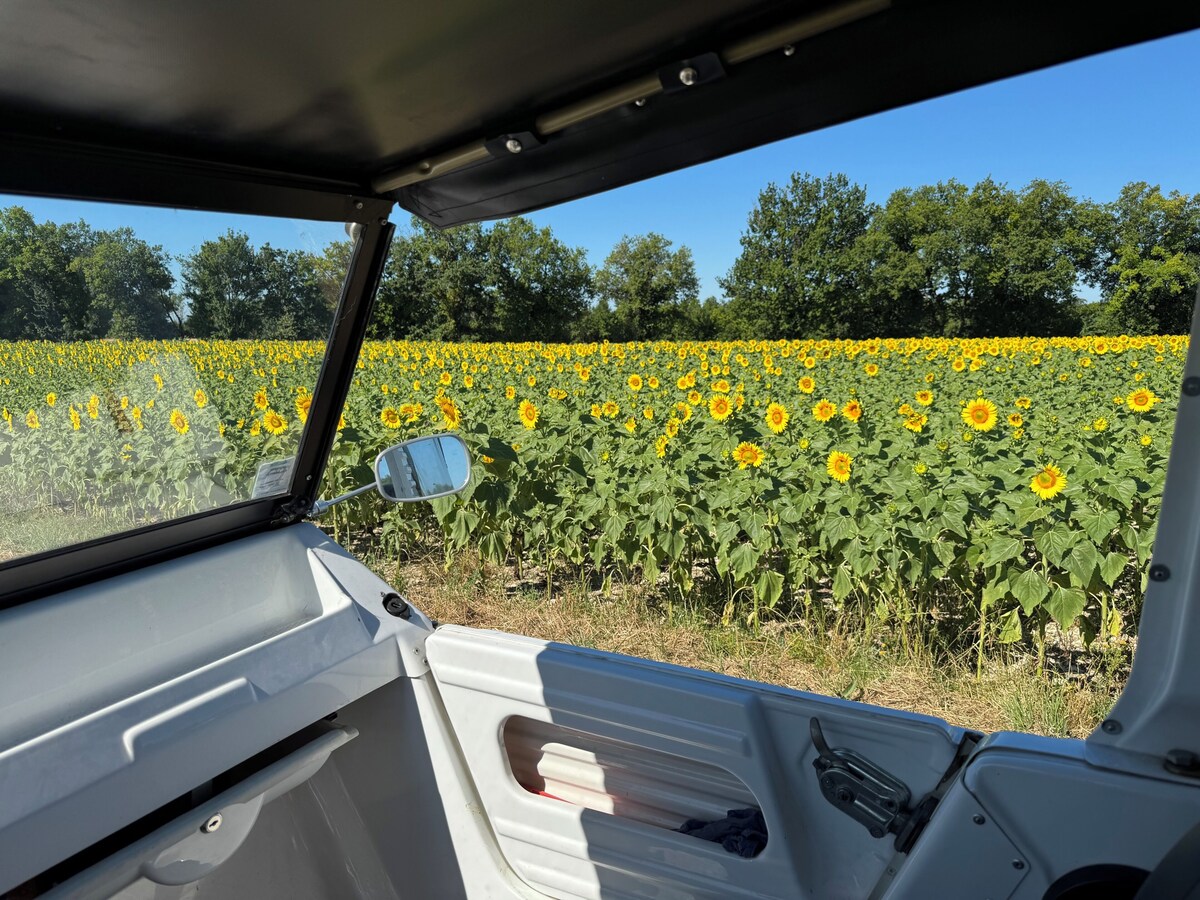 Bild für Gastgeberprofil