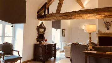 Televisión, chimenea y reproductor de DVD