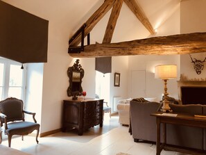 Télévision, cheminée, lecteur de DVD