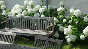 Eine hölzerne Bank in einem Garten mit weißen Blüten und einer schlichten Wand im Hintergrund.