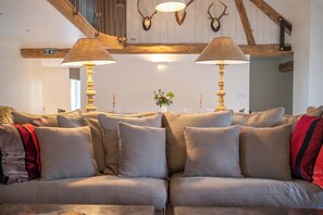 Televisión, chimenea y reproductor de DVD 