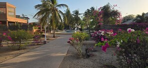 A pathway leading to a pool area surrounded by palm trees and flowering plants. - Saly: House / Villa - Saly (Saly)