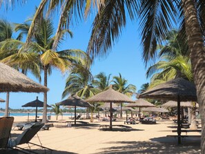 A beach with thatched umbrellas, lounge chairs, and palm trees. - Saly: House / Villa - Saly (Saly)