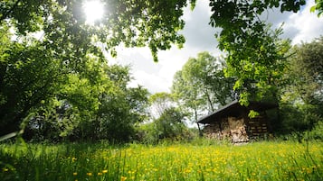 Àrea exterior de l'allotjament
