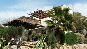 A house with a pergola, a palm tree, and various plants.